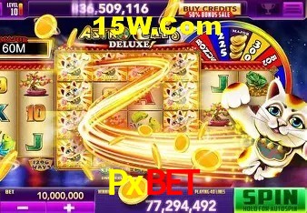 Experiência VIP Pxbet
